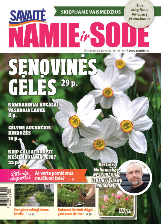 Namie ir sode - prenumerata | Prenumerata.lt